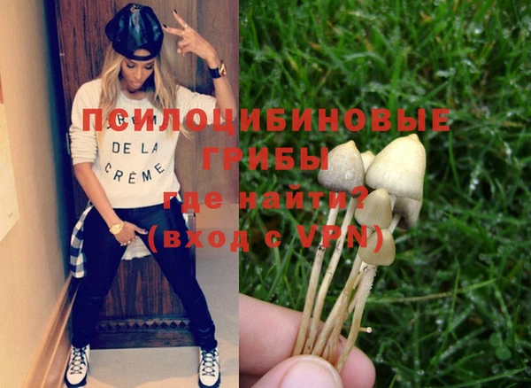 ешки Вяземский