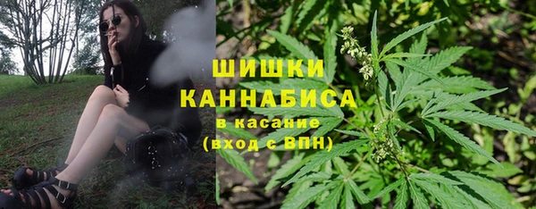 ешки Вяземский