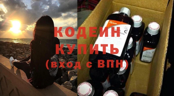 ешки Вяземский