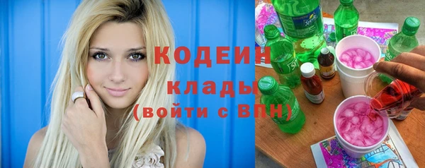 ешки Вяземский