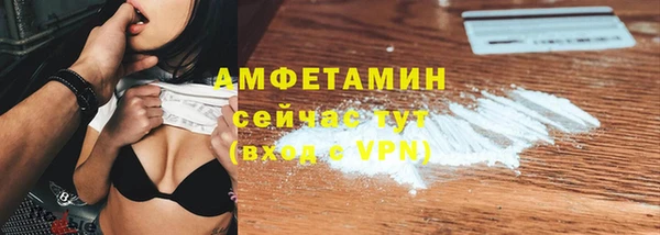 ешки Вяземский