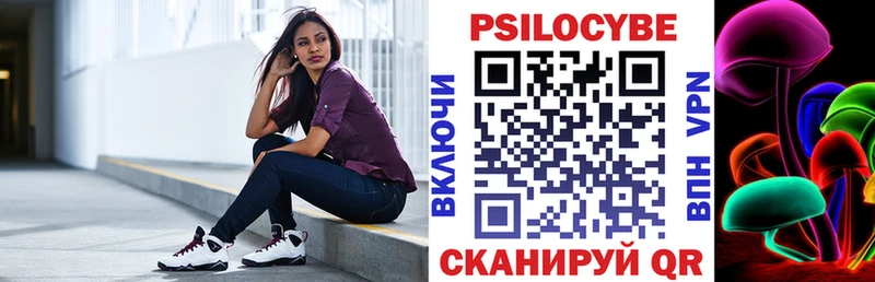 Псилоцибиновые грибы Psilocybe  Александровское 